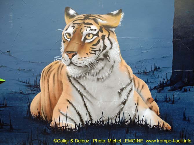 Baghera-3  Le tigre