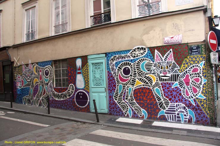 Les félins