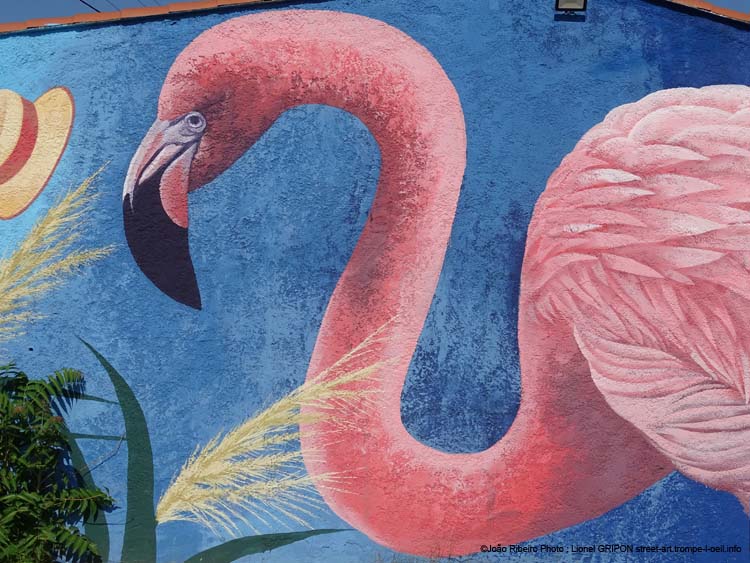 Flamant rose-03