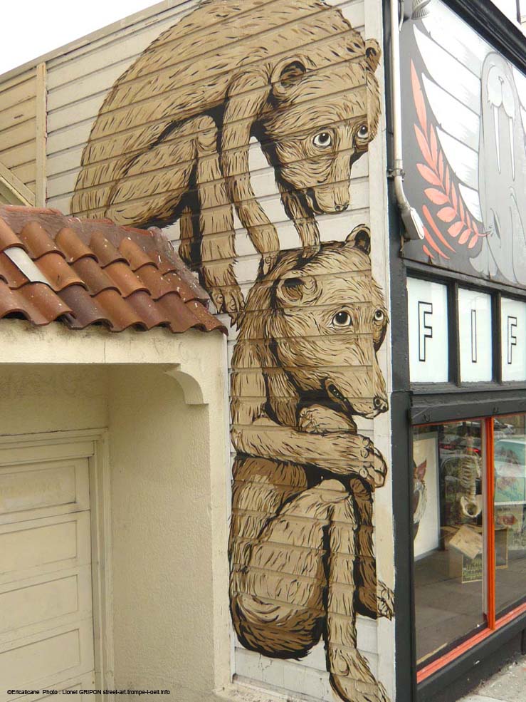 Les ours