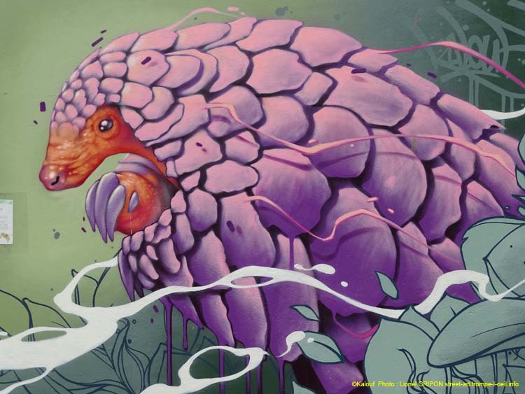 Le pangolin