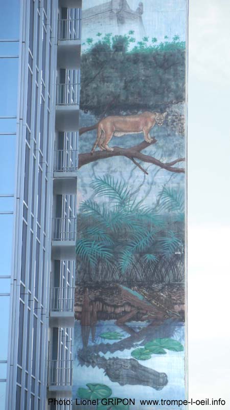 Les Everglades