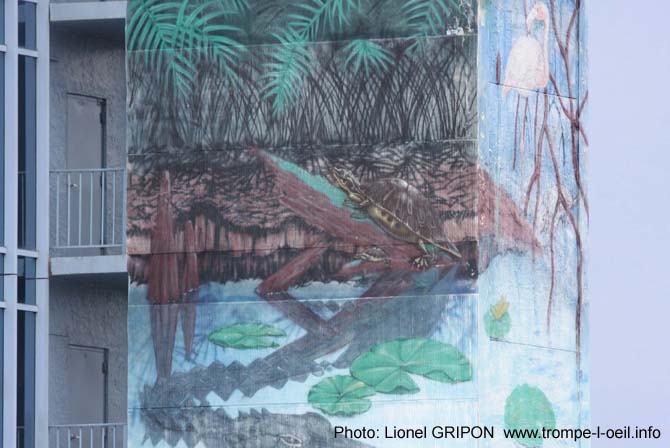 Les Everglades