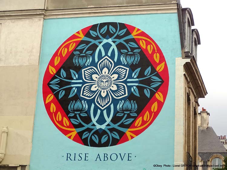Rise Above