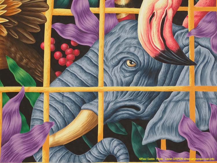 Cage aux animaux