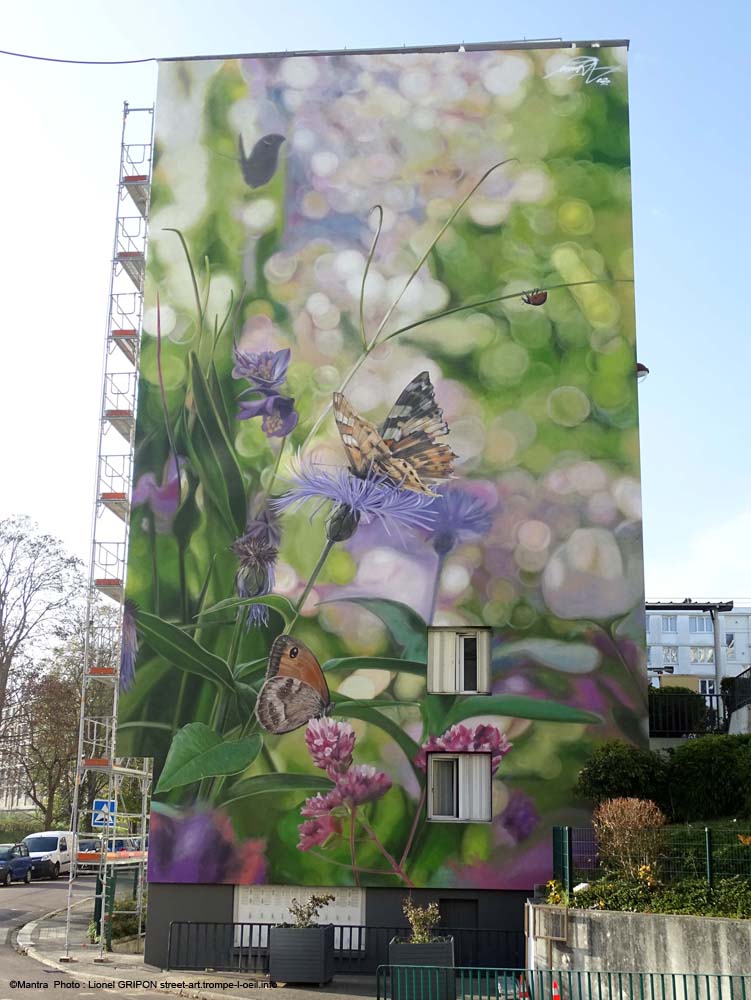 Bleuets et papillons