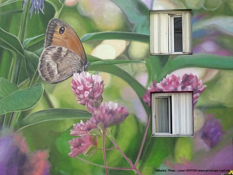 Bleuets et papillons