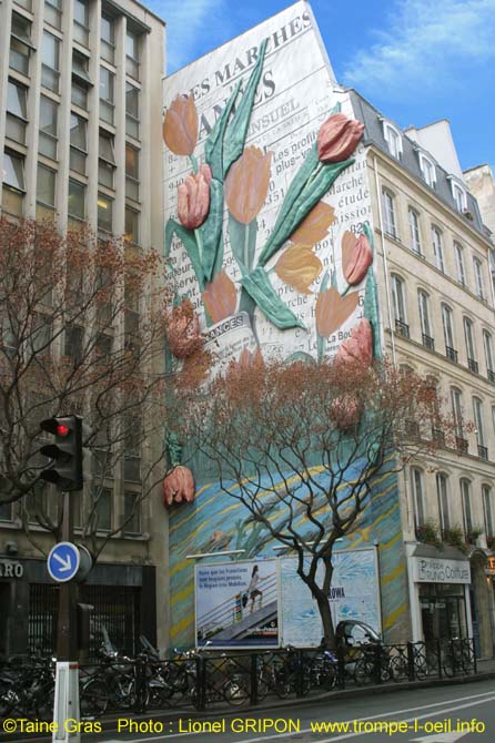 Les Tulipes-1