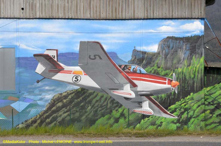 Avions de tourisme