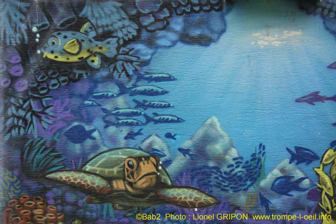 Fonds marins