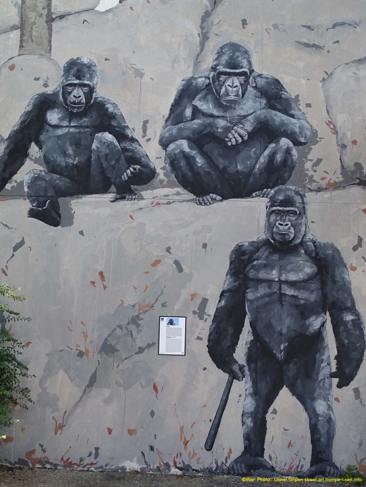 République de singe