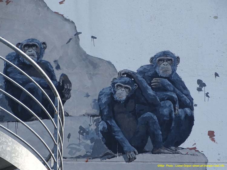 République de singe
