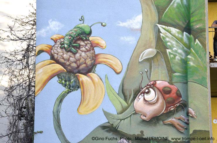 Monde des insectes