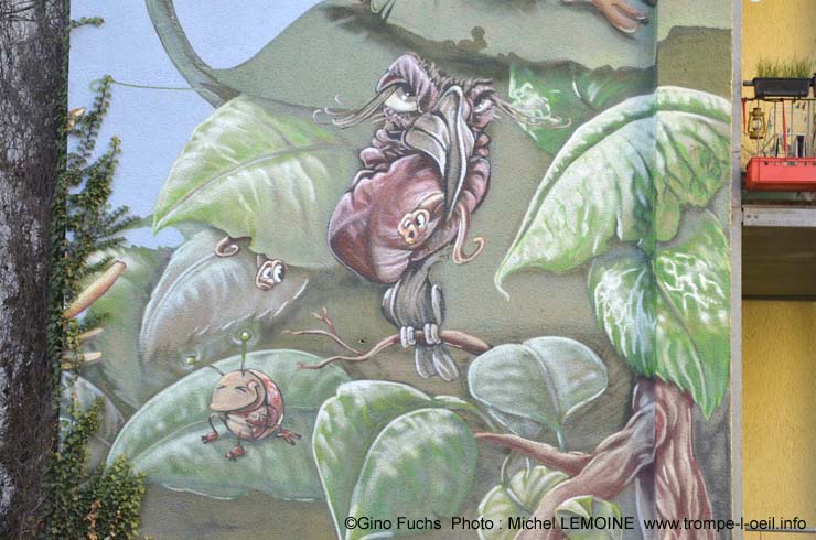 Monde des insectes