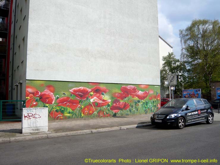 Les coquelicots