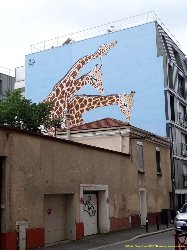 Trio de girafes