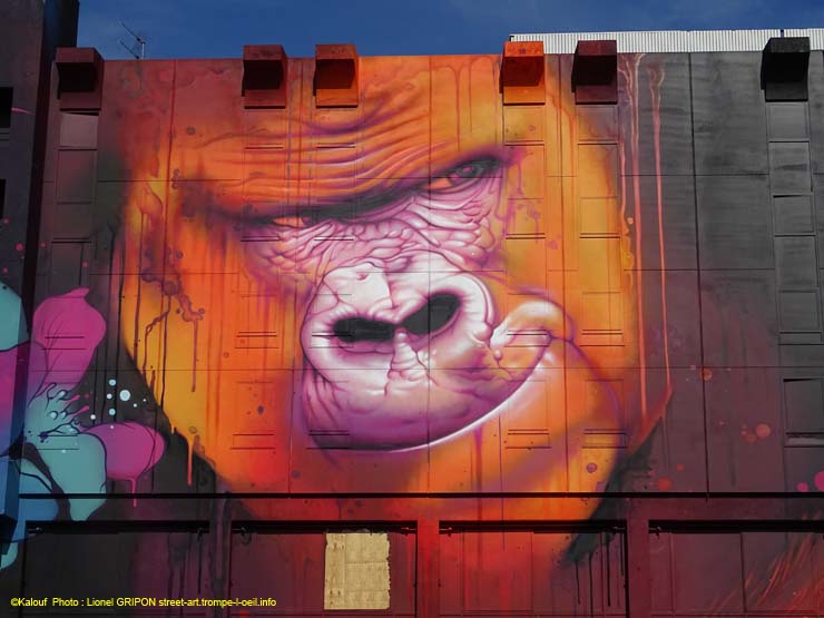 Gorilla urbaine