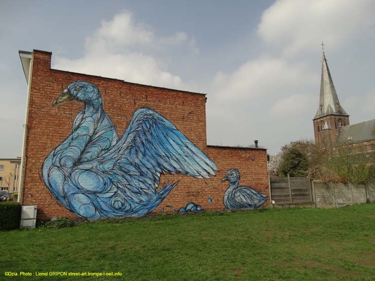 Cygne bleu