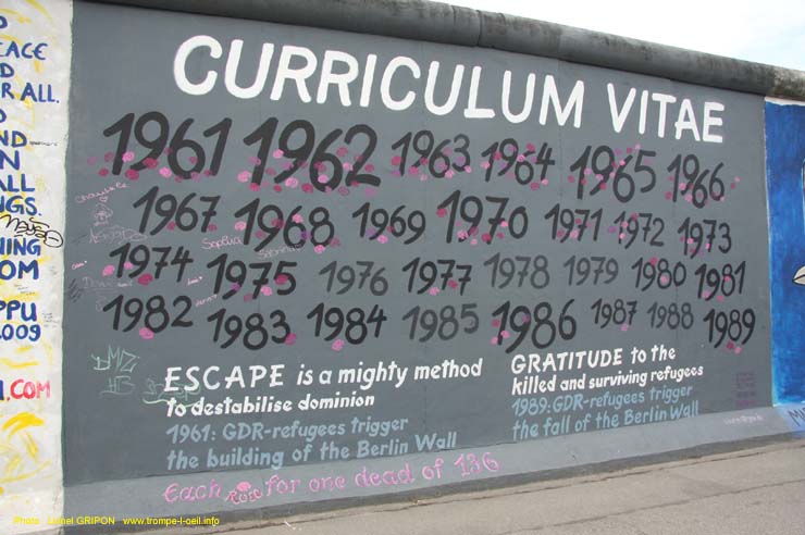 Le mur057 – Curriculum vitae