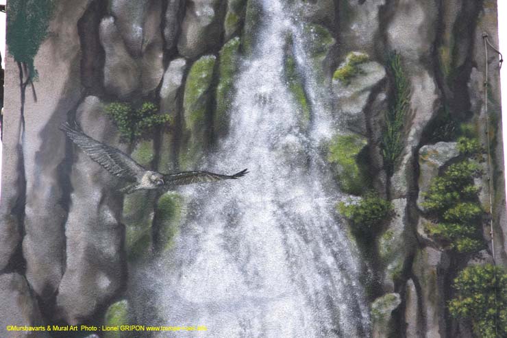 Cascade et rapace