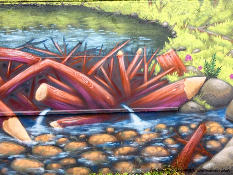 Castor graffeur