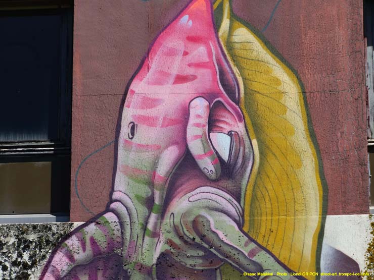 Baleine et baleineau