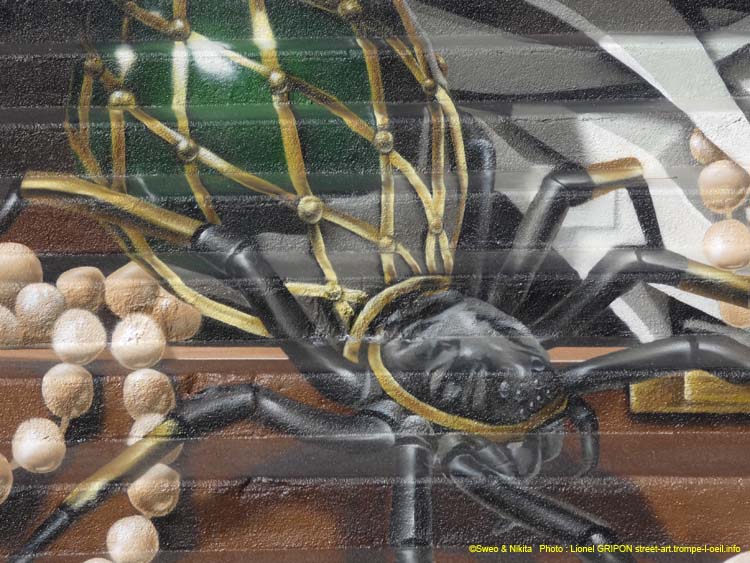 Araignée et bijoux