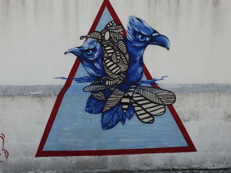 Oiseaux bleus
