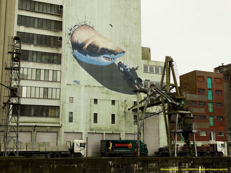 Requin et plongeur