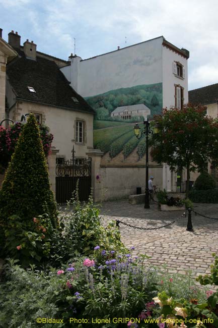 Le vignoble