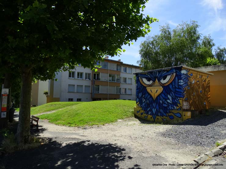 Rapace bleu