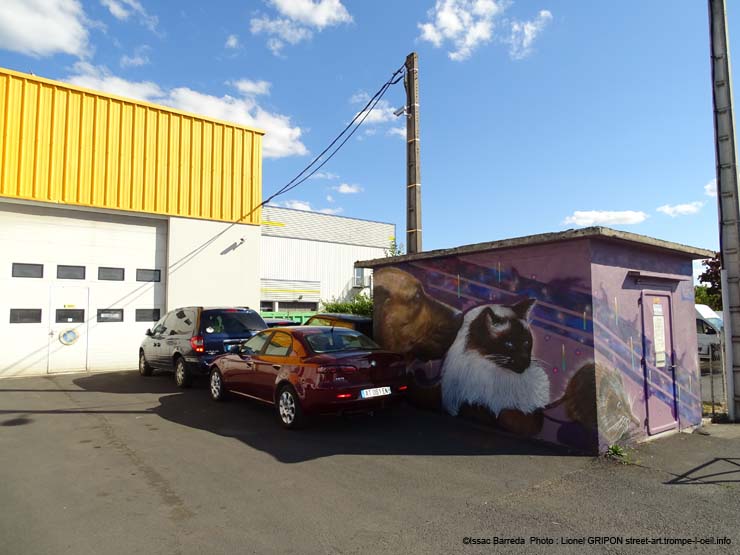 Chien chat hérisson