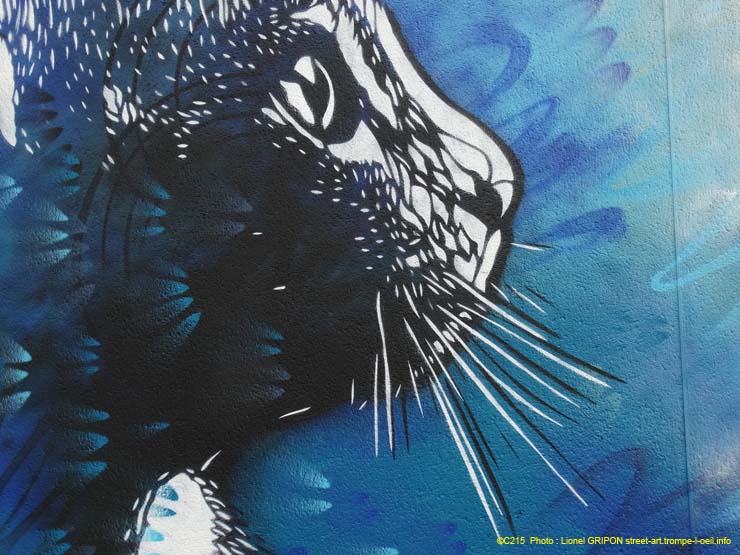 Le chat bleu-03