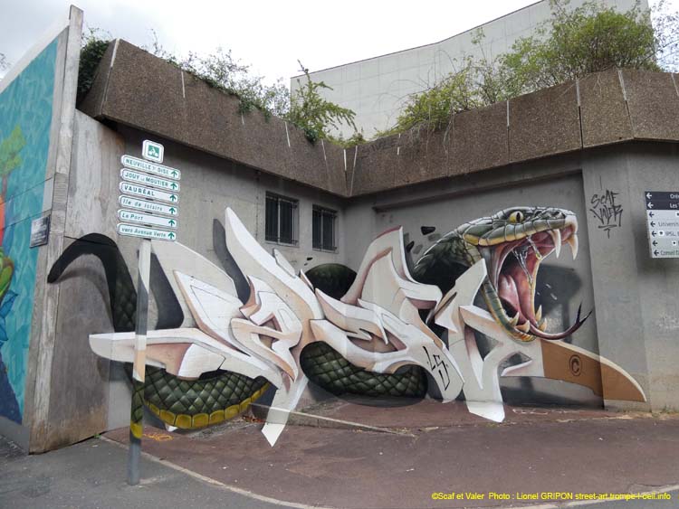 Caps Attack2025 – Scaf Valer