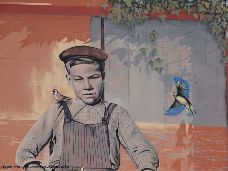 Garçon aux oiseaux