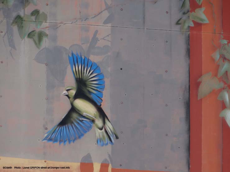 Garçon aux oiseaux