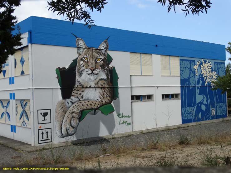 Le Lynx