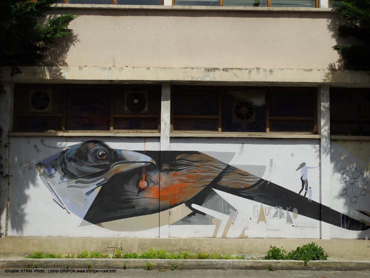 Oiseau rectiligne