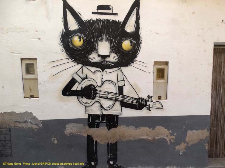 Chat guitariste
