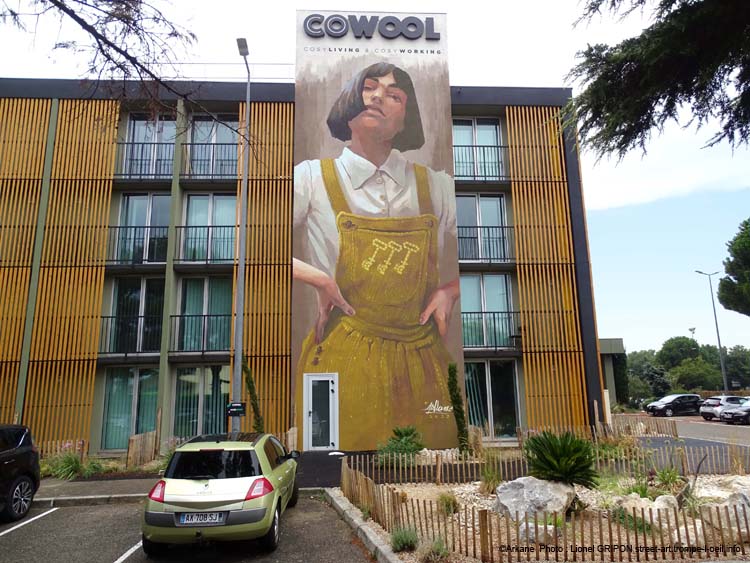 Cowool