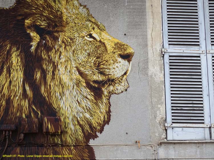 Les lions