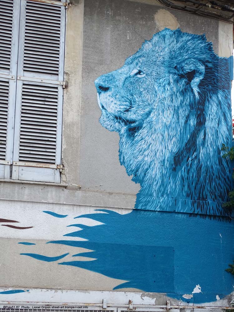 Les lions