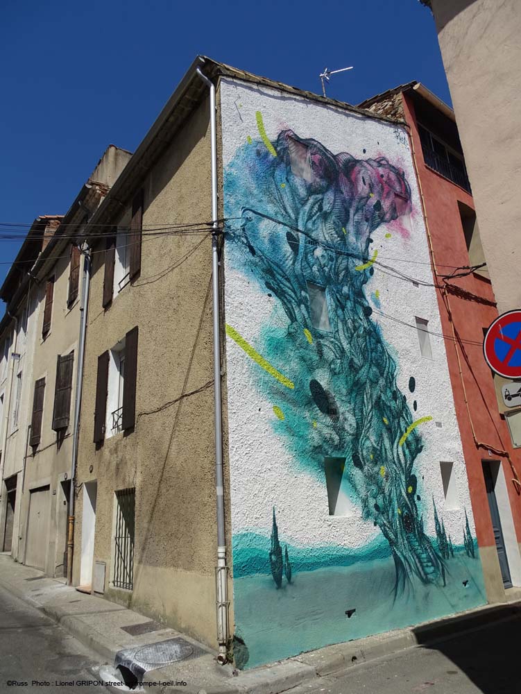 Le cyprès