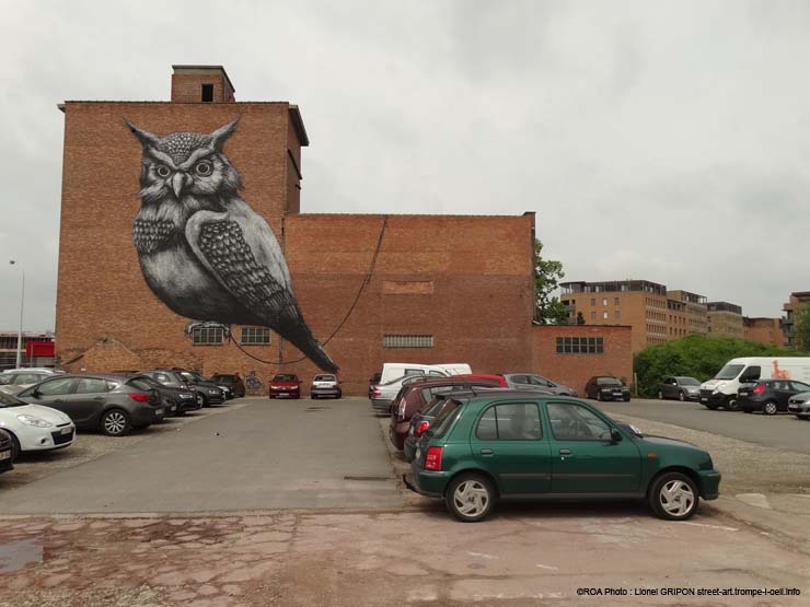 Le hibou