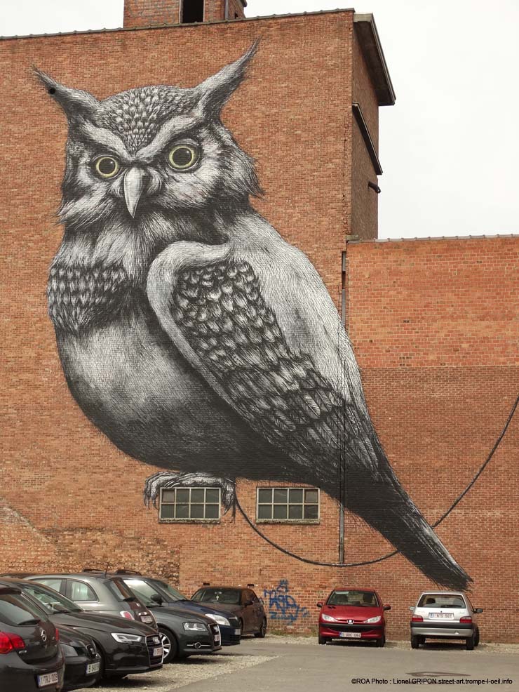 Le hibou