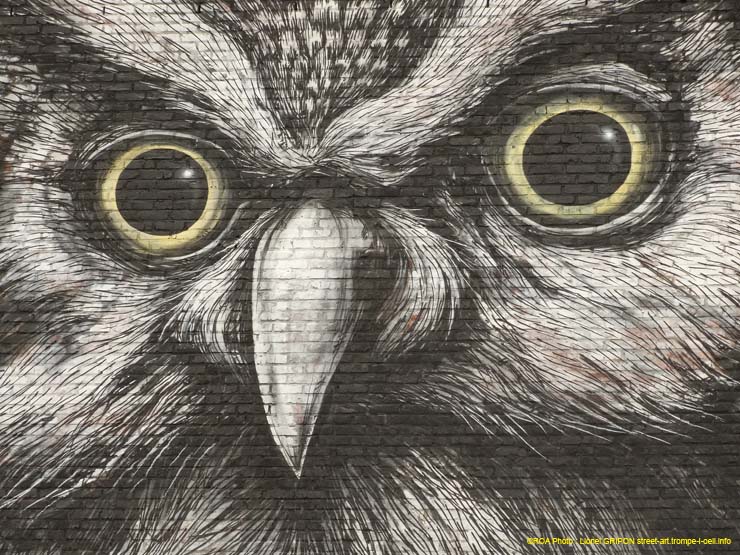 Le hibou