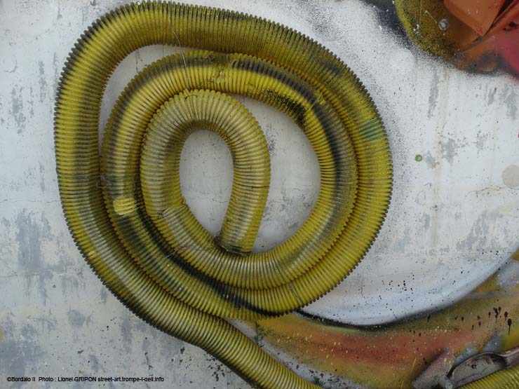 Mouche et caméléon