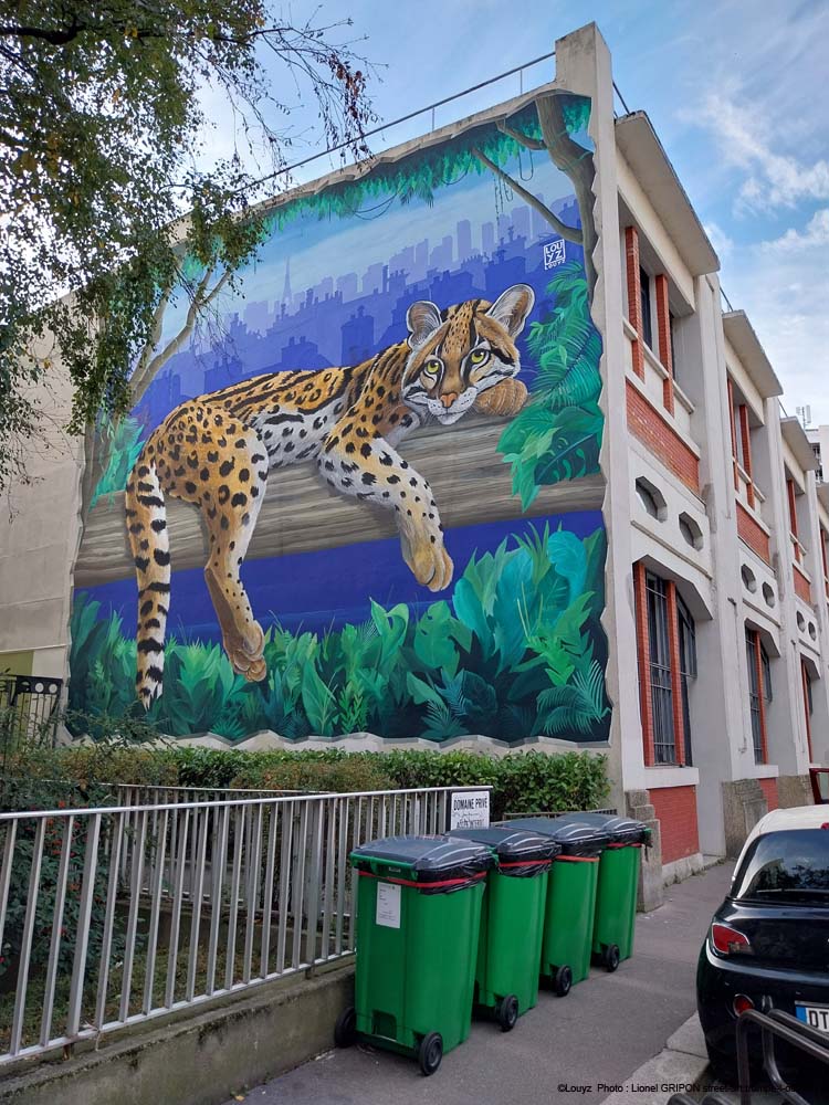 Ocelot parisien