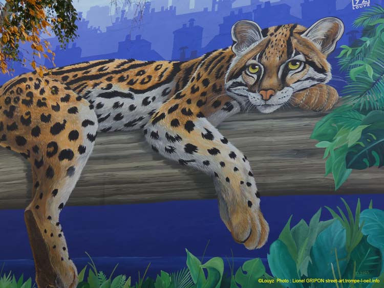 Ocelot parisien