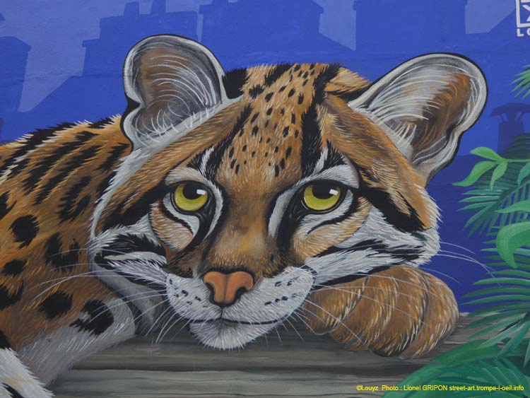 Ocelot parisien